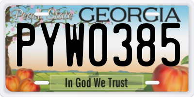 GA license plate PYW0385
