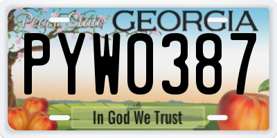 GA license plate PYW0387