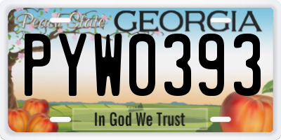 GA license plate PYW0393