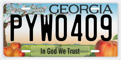 GA license plate PYW0409