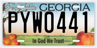 GA license plate PYW0441