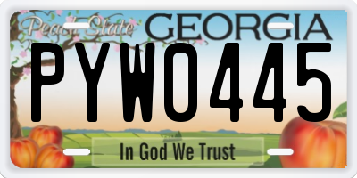 GA license plate PYW0445