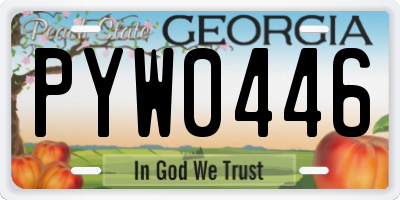 GA license plate PYW0446