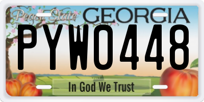 GA license plate PYW0448
