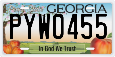 GA license plate PYW0455