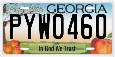GA license plate PYW0460