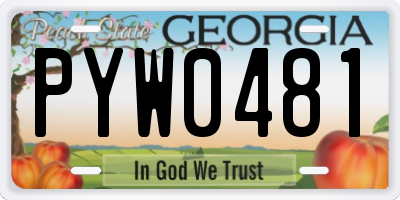 GA license plate PYW0481