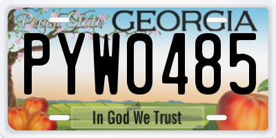 GA license plate PYW0485