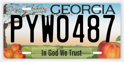 GA license plate PYW0487