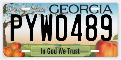 GA license plate PYW0489