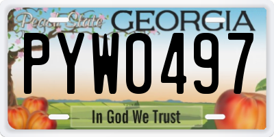 GA license plate PYW0497