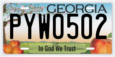 GA license plate PYW0502