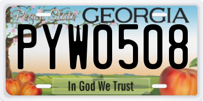 GA license plate PYW0508