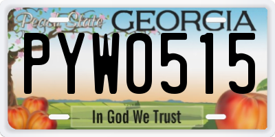 GA license plate PYW0515