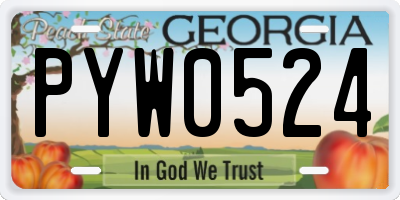 GA license plate PYW0524