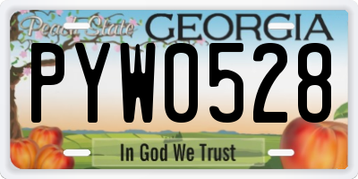GA license plate PYW0528