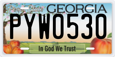 GA license plate PYW0530