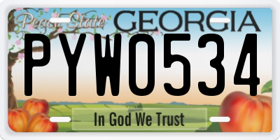 GA license plate PYW0534