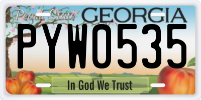 GA license plate PYW0535