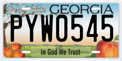 GA license plate PYW0545