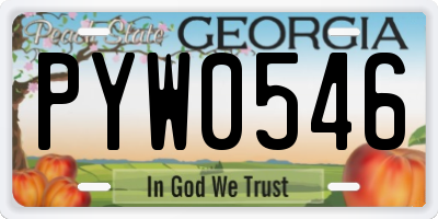 GA license plate PYW0546