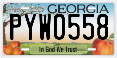 GA license plate PYW0558