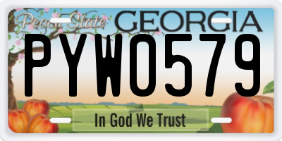GA license plate PYW0579