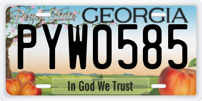 GA license plate PYW0585