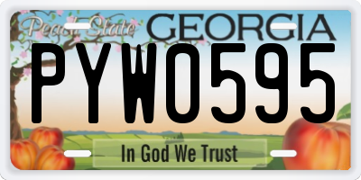 GA license plate PYW0595