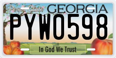 GA license plate PYW0598