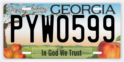GA license plate PYW0599