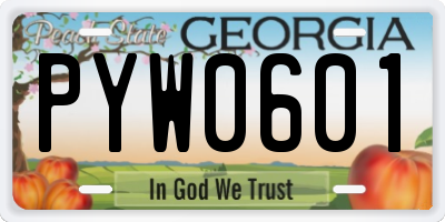 GA license plate PYW0601