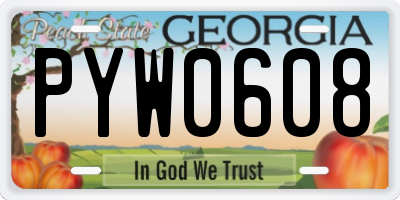 GA license plate PYW0608