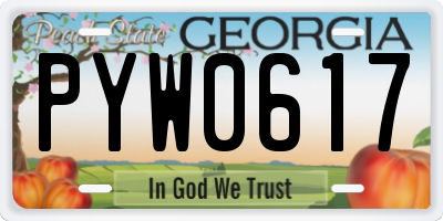 GA license plate PYW0617