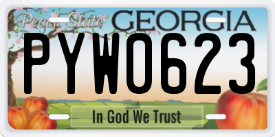 GA license plate PYW0623