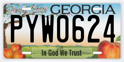 GA license plate PYW0624