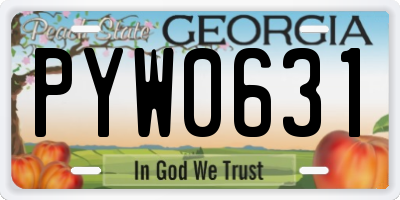 GA license plate PYW0631