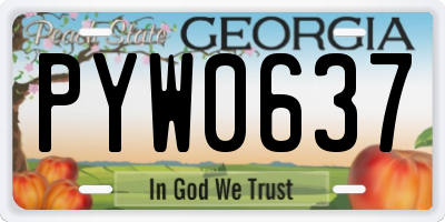 GA license plate PYW0637