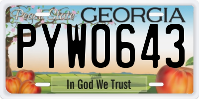GA license plate PYW0643