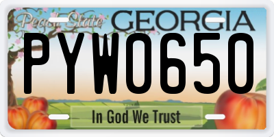GA license plate PYW0650