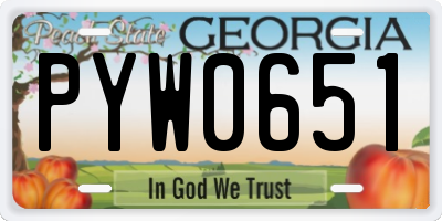 GA license plate PYW0651