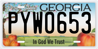 GA license plate PYW0653
