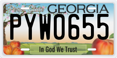 GA license plate PYW0655