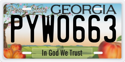 GA license plate PYW0663
