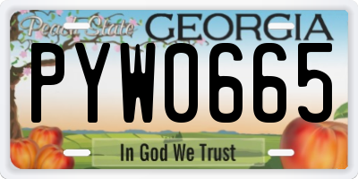 GA license plate PYW0665