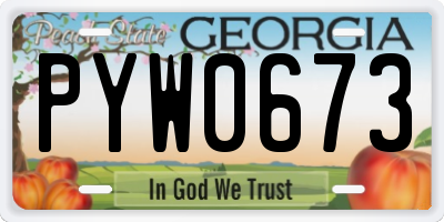GA license plate PYW0673