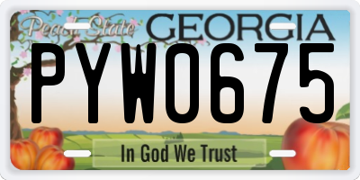 GA license plate PYW0675