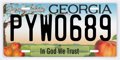 GA license plate PYW0689