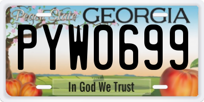 GA license plate PYW0699