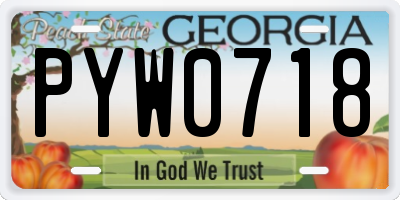 GA license plate PYW0718